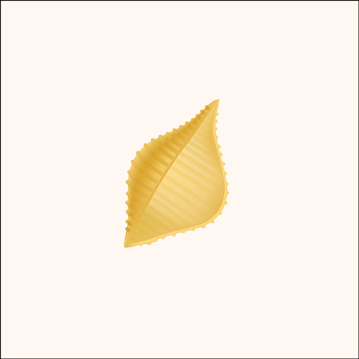 NEW - Conchiglie Unboxed