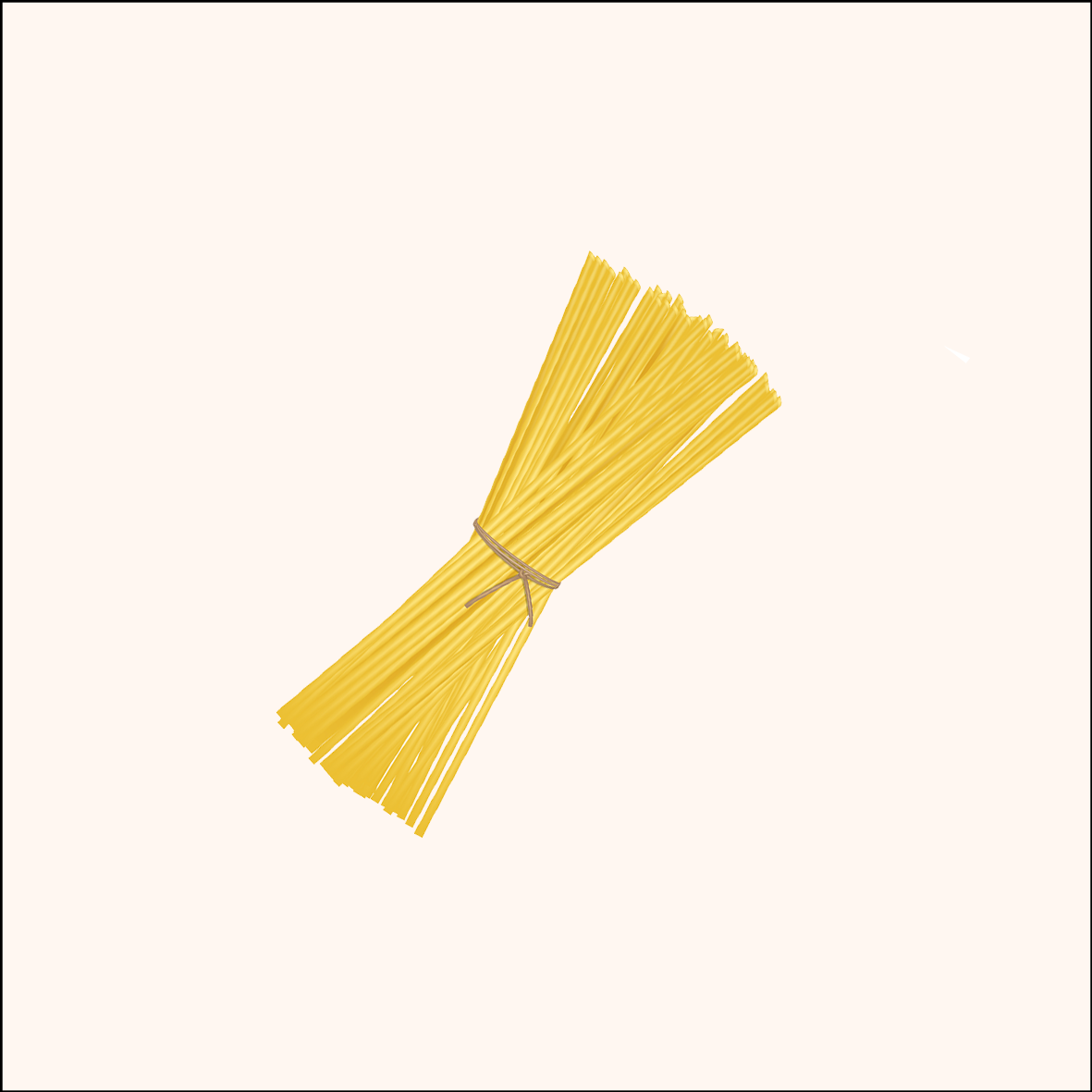 NEW - Spaghetti Pasta